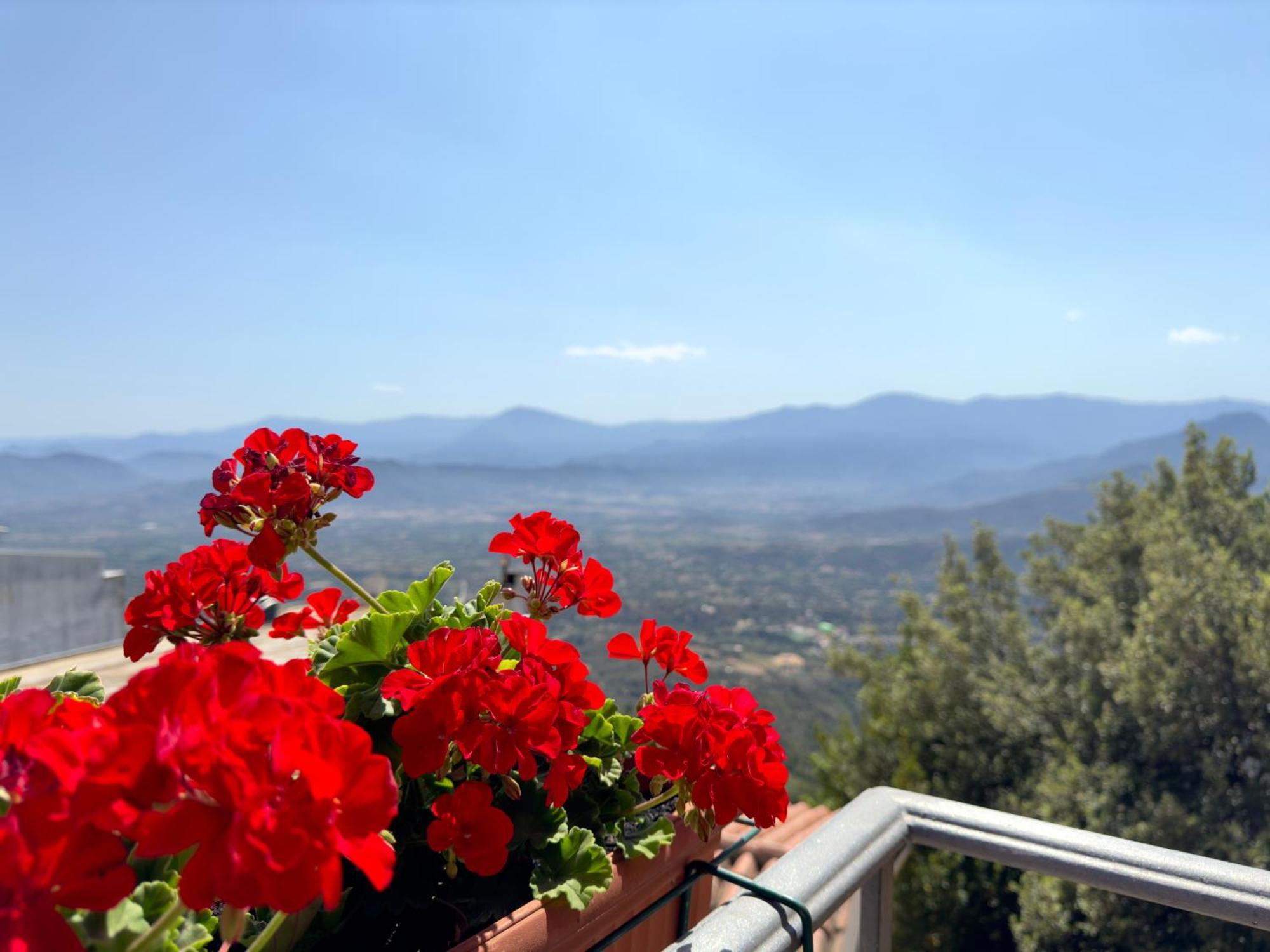 بوناي B&B Selvaggio Blu المظهر الخارجي الصورة